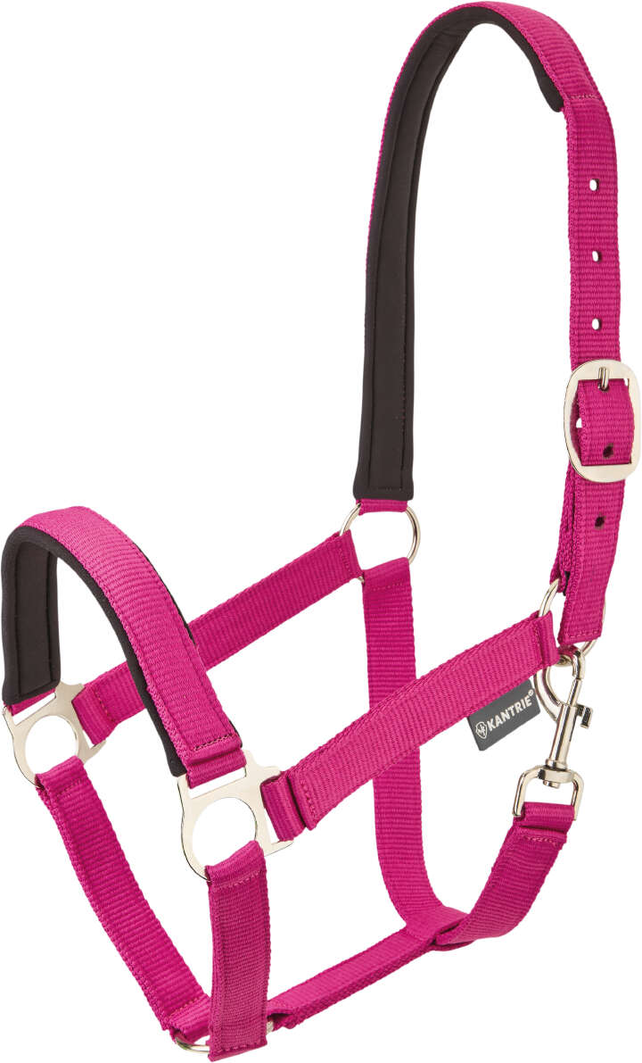 KANTRIE Halfter Meadow